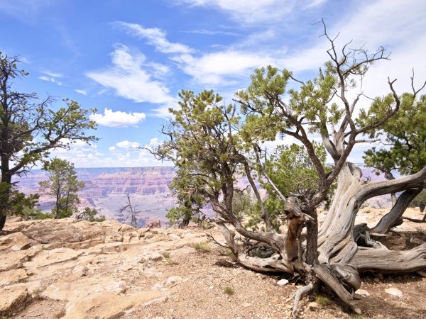 Grand Canyon