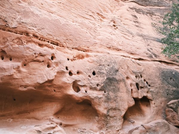 Zion National Parc