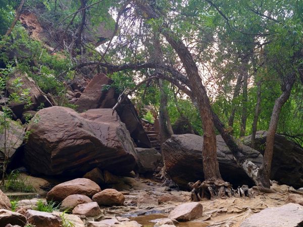 Zion National Parc