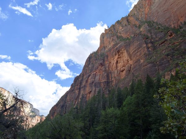 Zion National Parc