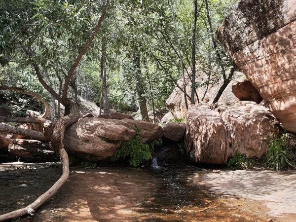 Zion National Parc