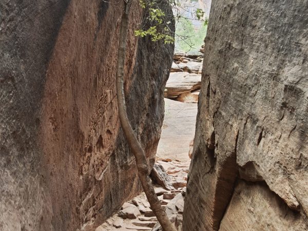 Zion National Parc