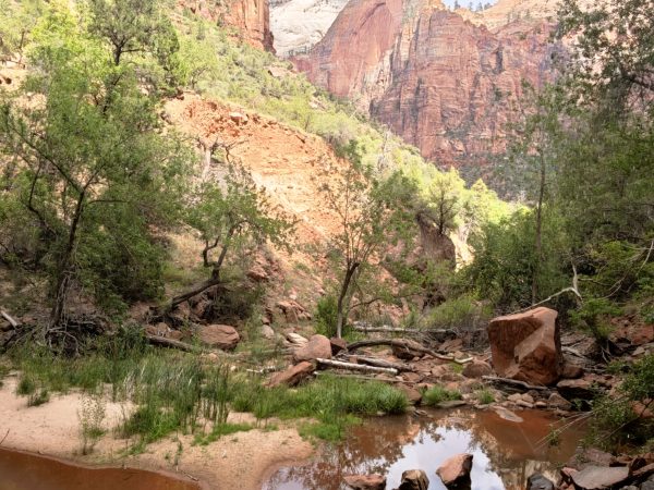 Zion National Parc