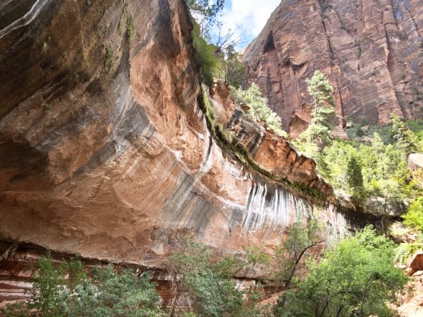 Zion National Parc