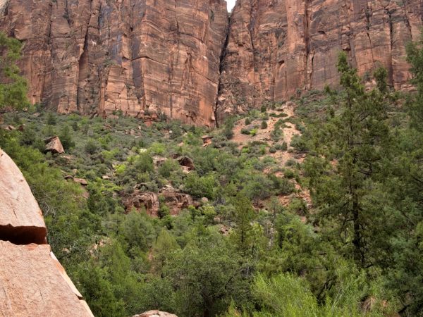 Zion National Parc