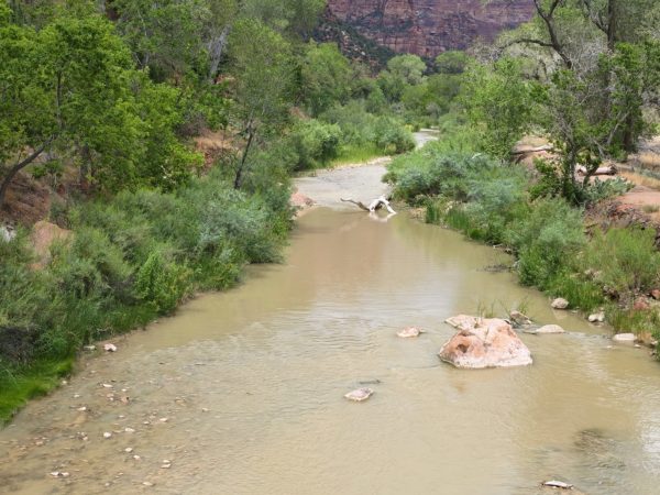 Zion National Parc