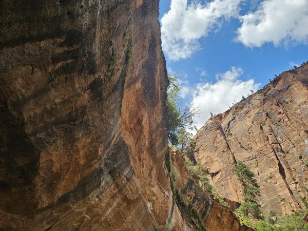 Zion National Parc