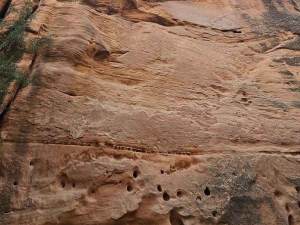 Zion National Parc