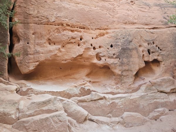 Zion National Parc
