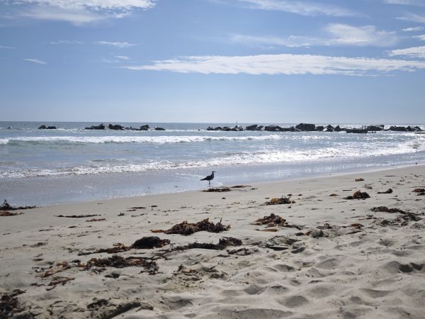 Los Angeles – Jour 3