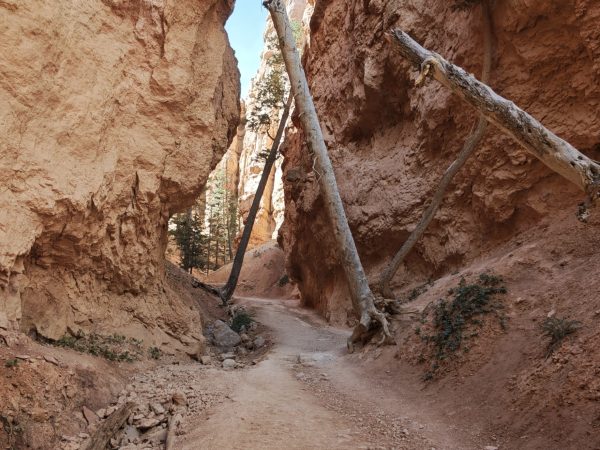 Bryce Canyon