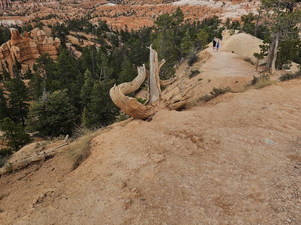 Bryce Canyon